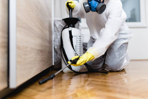 Best Mosquito Control Services  in Colesville, MD