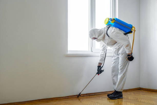 Best Insect Control  in Colesville, MD