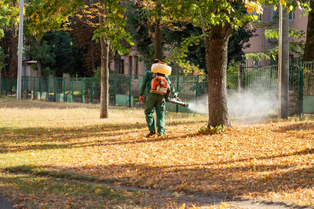 Best Wasp Removal Services  in Colesville, MD