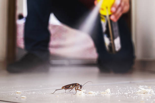Pest Prevention Services in Colesville, MD